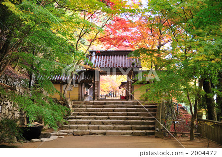 Eikenji門秋葉 Eikenji門秋葉 2004472