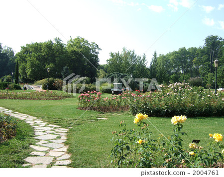 Tet · Dole Park 2004761