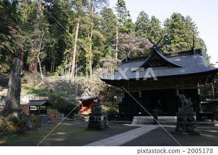 Myogi Shrine Wave自組織 2005178