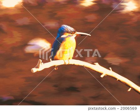 Kingfisher Kingfisher 2006569