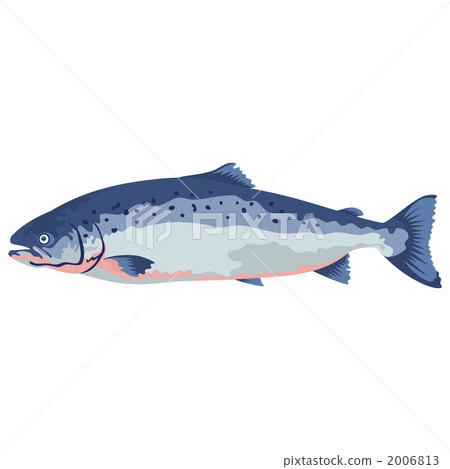 fish and shellfish, seafood, vector 2006813