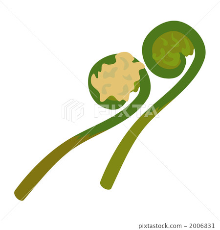 薇 皇家蕨菜 矢量圖 2006831