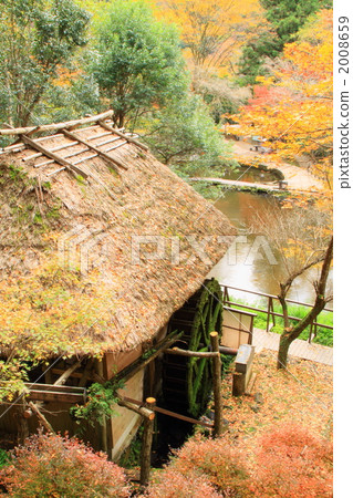 Takachiho's autumn leaves 2008659