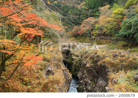 高千穗的秋葉 2008679