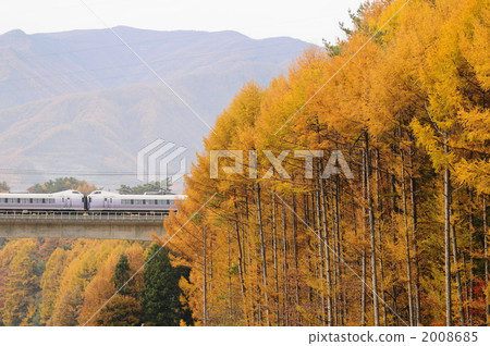 超級Azusa穿過落葉松林 2008685