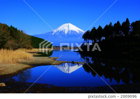 富麗堂皇 富麗堂皇 2009096