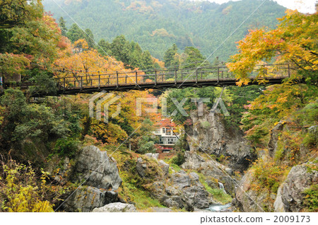 落下的橋樑在秋天·吊橋 2009173