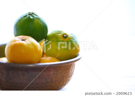 無核小蜜橘 桔子 橘子 2009623