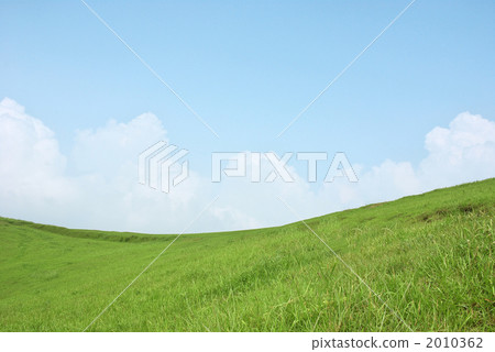 綠色的草原 綠色的草原 2010362