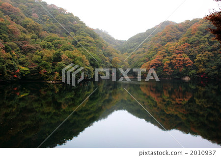 Dam Lake的Kusaki Dam Lake的Kusaki 2010937