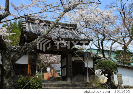 Temple of flowers · season of cherry blossoms 2011405
