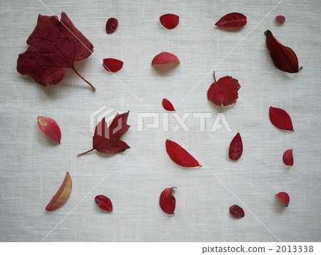 Red fallen leaves Red fallen leaves 2013338