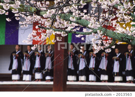 Spring of Kyoto Komyoji Temple 2013563