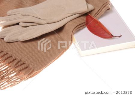 Image of autumn 2013858