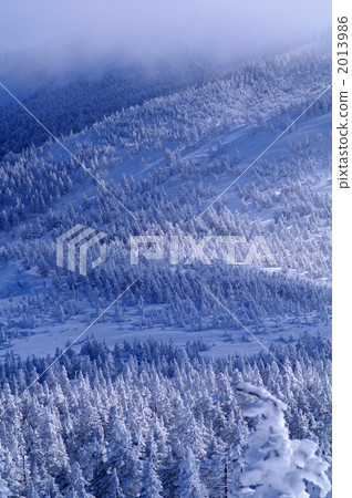 Miyagi Zao的冰晶 Miyagi Zao的冰晶 2013986