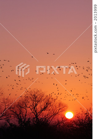 馬根的飛行 2013999