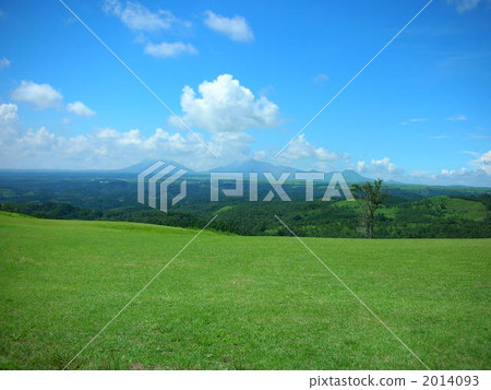grass field, grassland, grasslands 2014093