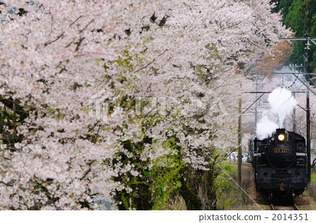 櫻花和蒸汽機車 2014351