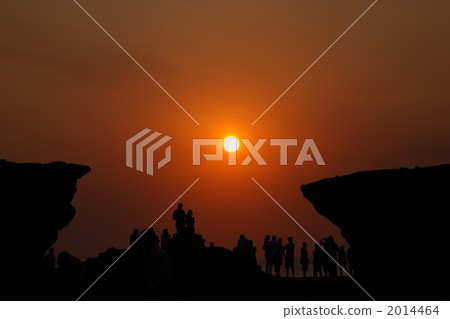 新的一年 2014464