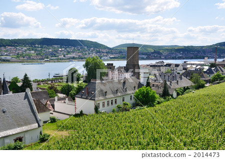 Germany Rüdesheim 2014473