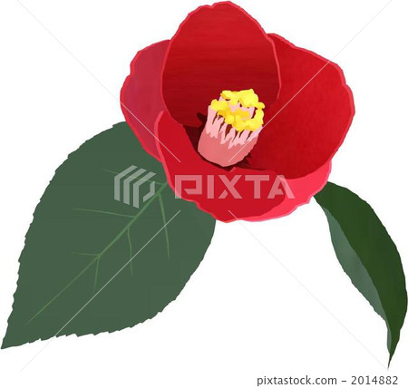 botanic, botanical, plant 2014882