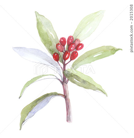 美山稔 美山稔 2015308