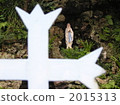 Maria statue of the Goto Island of Islands Nishikura Lourdes church 2015313
