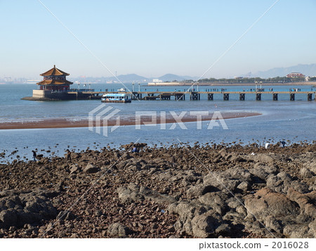青島·營業額·碼頭 2016028