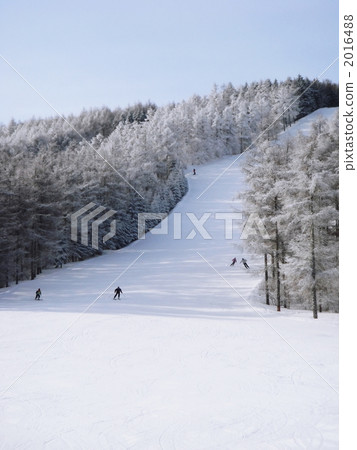 Skiing people 2016488