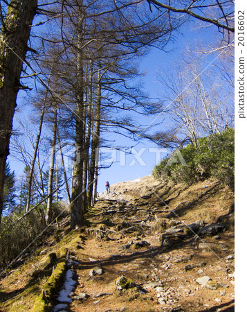 Seven Ishiyama mountain climbing near the summit peak Seven Ishiyama mountain climbing near the summit peak 2016602
