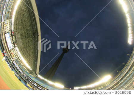 CN tower seen from baseball field 2016998