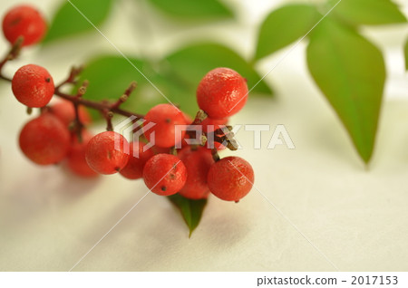 Nanten turning hard! 2017153