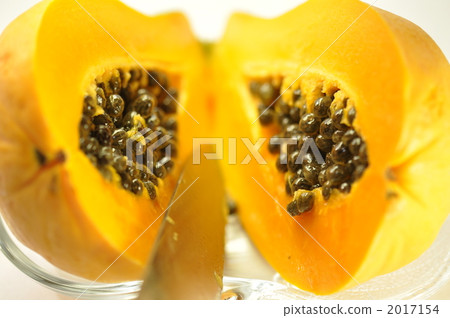 papaya 2017154