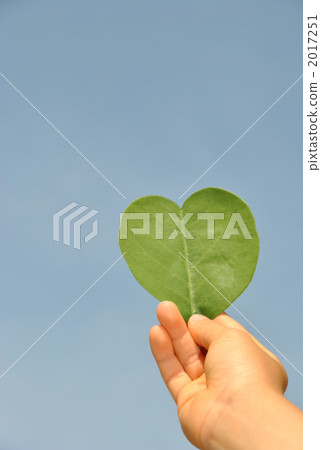 heart-shaped leaf, child's hand, children's hands 2017251
