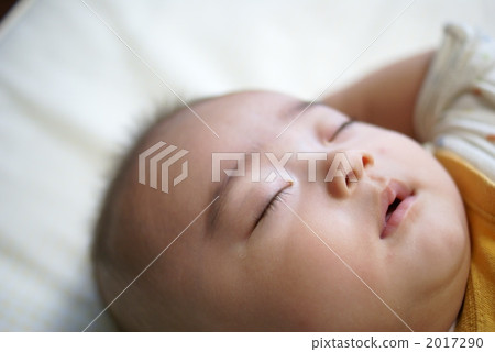 嬰兒 嬰兒 2017290