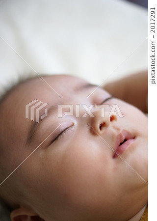 嬰兒 嬰兒 2017291