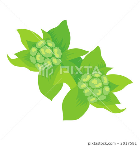 Illustration of Fenced Boat Nocturna 2017591