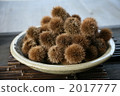 雲龍式 2017777