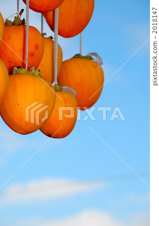 幹柿子和藍天 幹柿子和藍天 2018147