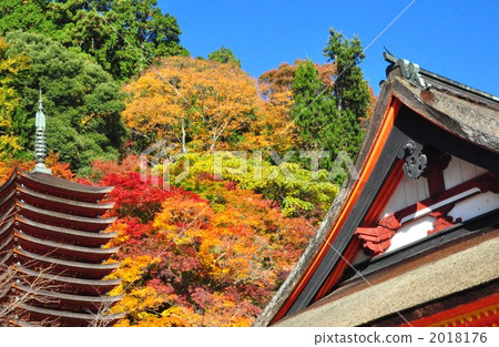 Daisyama Shrine Ten thousand towers and autumn leaves Daisyama Shrine Ten thousand towers and autumn leaves 2018176