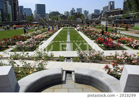 nakanoshima park, rose garden, flower garden 2018299