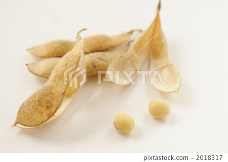 豆類 豆 國內生產 2018317