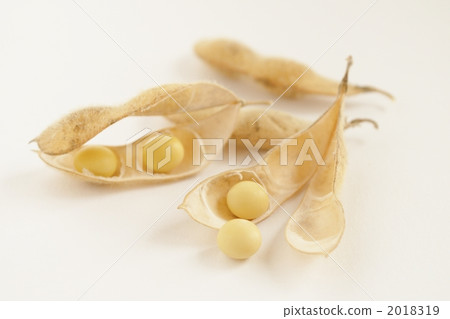 大豆 黃豆 乾燥大豆 2018319