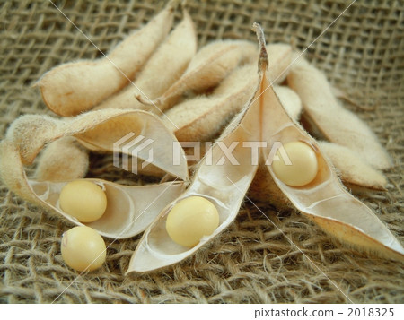 豆類 豆 大豆 2018325