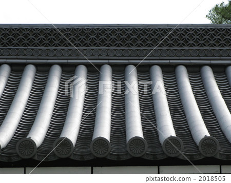 Chrysanthemum 2018505