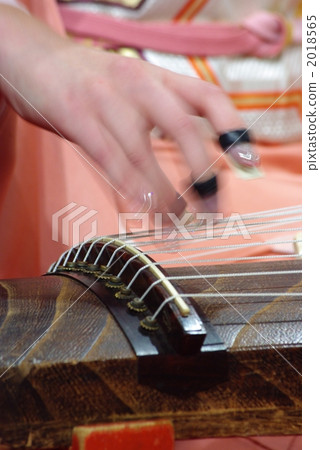 Pluck the koto Pluck the koto 2018565