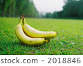 Lawn and bananas 2018846