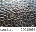 leather, leathers, crocodile 2018964