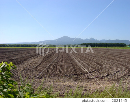 Musashidake 2 Musashidake 2 2021545