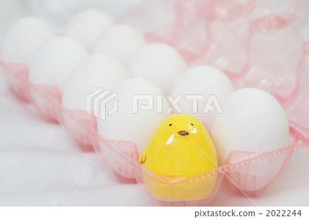 小雞 雞蛋 食物 2022244